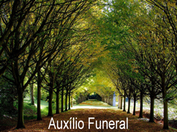 Auxílio Funeral