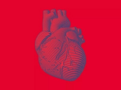 Mitos Saúde Coração