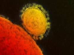 Gripe e coronavírus